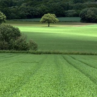 Lancashire