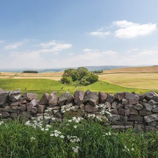 Farming and Agriculture